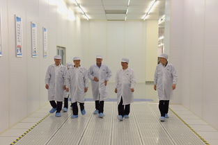 陳清泰調研長江存儲與武漢新芯，共話中國芯片產業發展